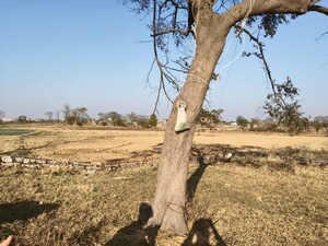 Plot Area in  Plot at Namkum – for Sale