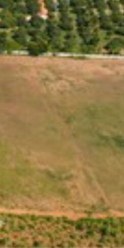 Plot For Sale in Shaheed Bhagat Singh Nagar