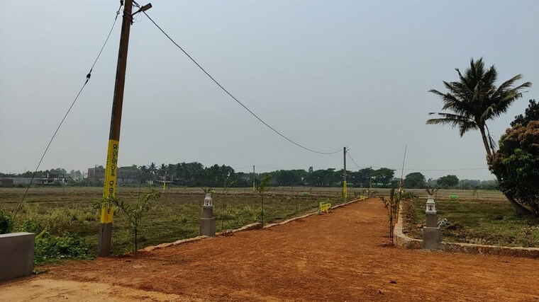 undefined, super corridor  507 Sq.Ft. Plot In Super Corridor Indore 10250369
