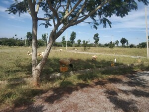 Plot For Sale in Navanidhi Township, Anekal