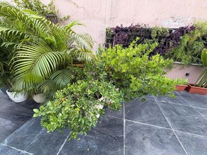 4 BHK Apartment – Garden View at Greater Kailash I - for Rent