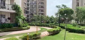 3 BHK Apartment For Rent in Prateek Wisteria, Sector 77