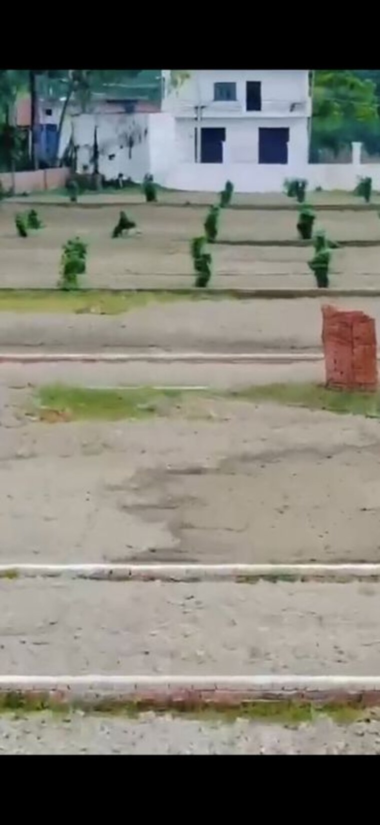 undefined, garhmukteshwar  100 Sq.Yd. Plot In Garhmukteshwar Hapur 10480785