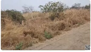 Plot Area in  Plot at Kharghar – for Sale
