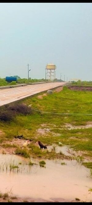  Plot For Sale in Shadnagar
