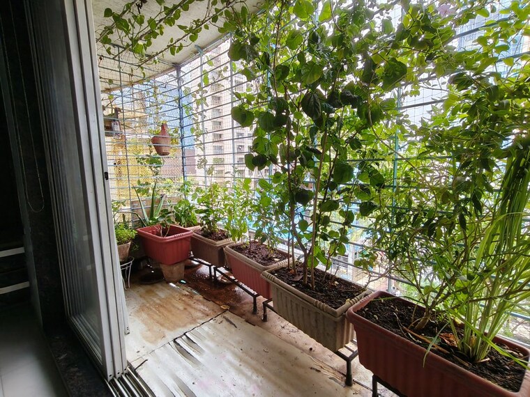 Balcony, aditi-chs-andheri 2 Bedroom 850 Sq.Ft. Apartment In Andheri East Mumbai 10481206
