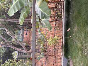 3.5 BHK Villa – Exterior View View at Manchirevula - for Rent
