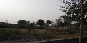  Plot For Sale in BKR Vatika Green City, Jasana