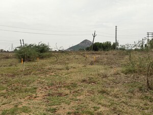Plot Area in  Plot at Tadikonda – for Sale
