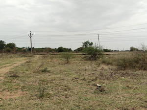 Plot Area in  Plot at Tadikonda – for Sale