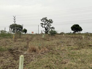  Plot For Sale in Tadikonda
