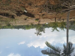 Plot Area in  Plot at Elango Nagar Phase 2, Veerapandi Pirivu – for Sale