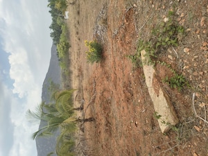 Plot Area in  Plot at Elango Nagar Phase 2, Veerapandi Pirivu – for Sale