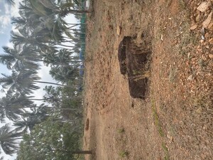   Plot at Elango Nagar Phase 2, Veerapandi Pirivu – for Sale