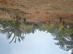 Plot Area in  Plot at Elango Nagar Phase 2, Veerapandi Pirivu – for Sale