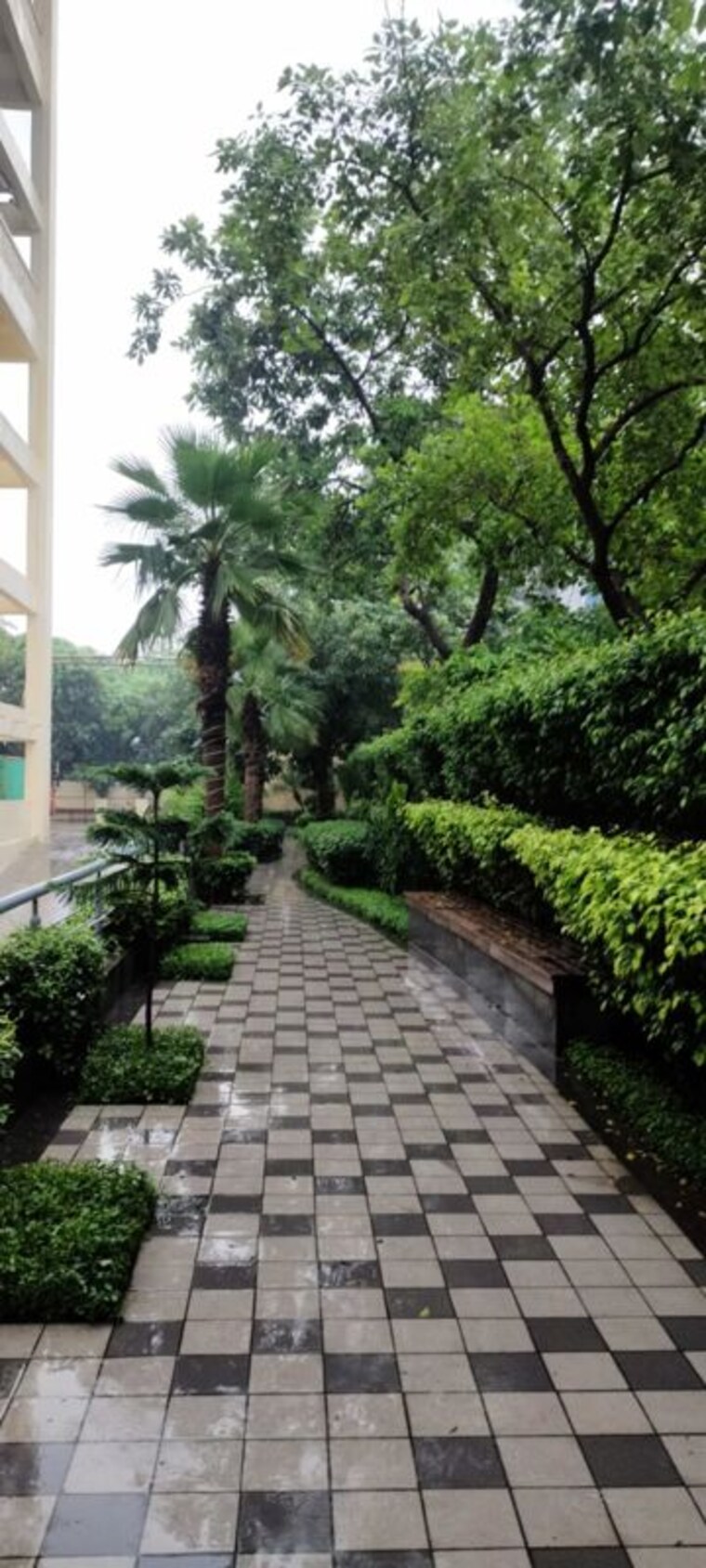 Garden, okaya-center Commercial Office Space 4523 Sq.Ft. In Sector 62 Noida 10482066