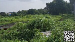  Industrial Plot For Sale in Kharghar