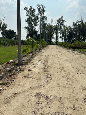 Plot Area in  Plot at Thapar Nagar – for Sale