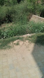 2500 Sq.Yd. Land in Rohillapur