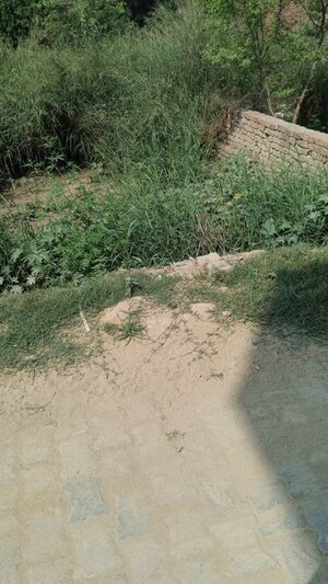  Land For Sale in Rohillapur