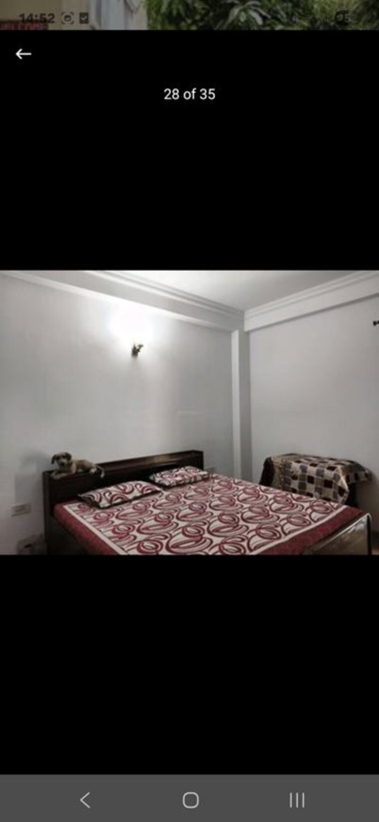 Bedroom, hong-kong-bazaar 4 Bedroom 2835 Sq.Ft. Villa In Sector 57 Gurgaon 10482338