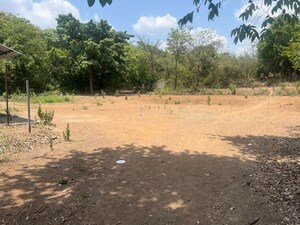 Plot Area in  Plot at Sandesh Nagar – for Sale