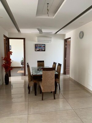 4 BHK Apartment For Rent in Exotic Grandeur, Baltana