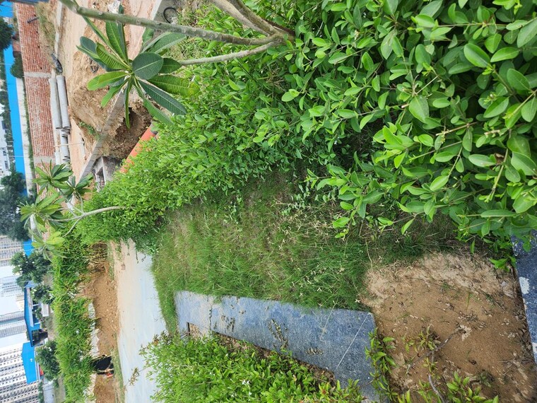 Garden, jms-the-pearl  131 Sq.Yd. Plot In Sector 95 Gurgaon 10482930