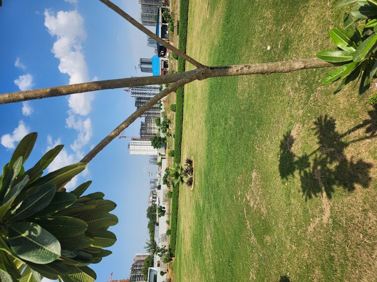 Garden, jms-the-pearl  131 Sq.Yd. Plot In Sector 95 Gurgaon 10482930