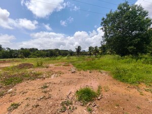 Plot Area in  Land at Kakkanad – for Rent