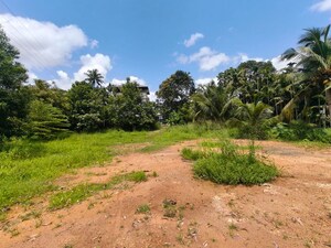 Plot Area in  Land at Kakkanad – for Rent