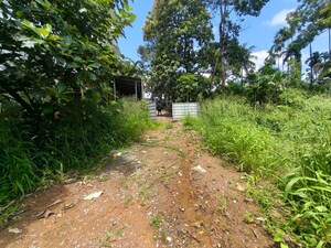  Land – Garden View at Kakkanad - for Rent