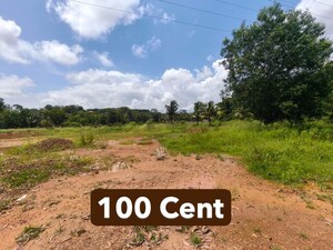  Land For Rent in Kakkanad