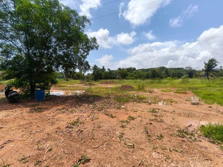 undefined, kakkanad Commercial Land 43550 Sq.Ft. In Kakkanad Kochi 10483184