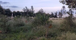  Plot For Sale in Mahaveer Green Meadows, Chandapura