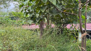  Shop – Garden View at Manappally - for Sale