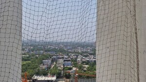 2 BHK Apartment For Rent in IEC White House, Pi Greater Noida