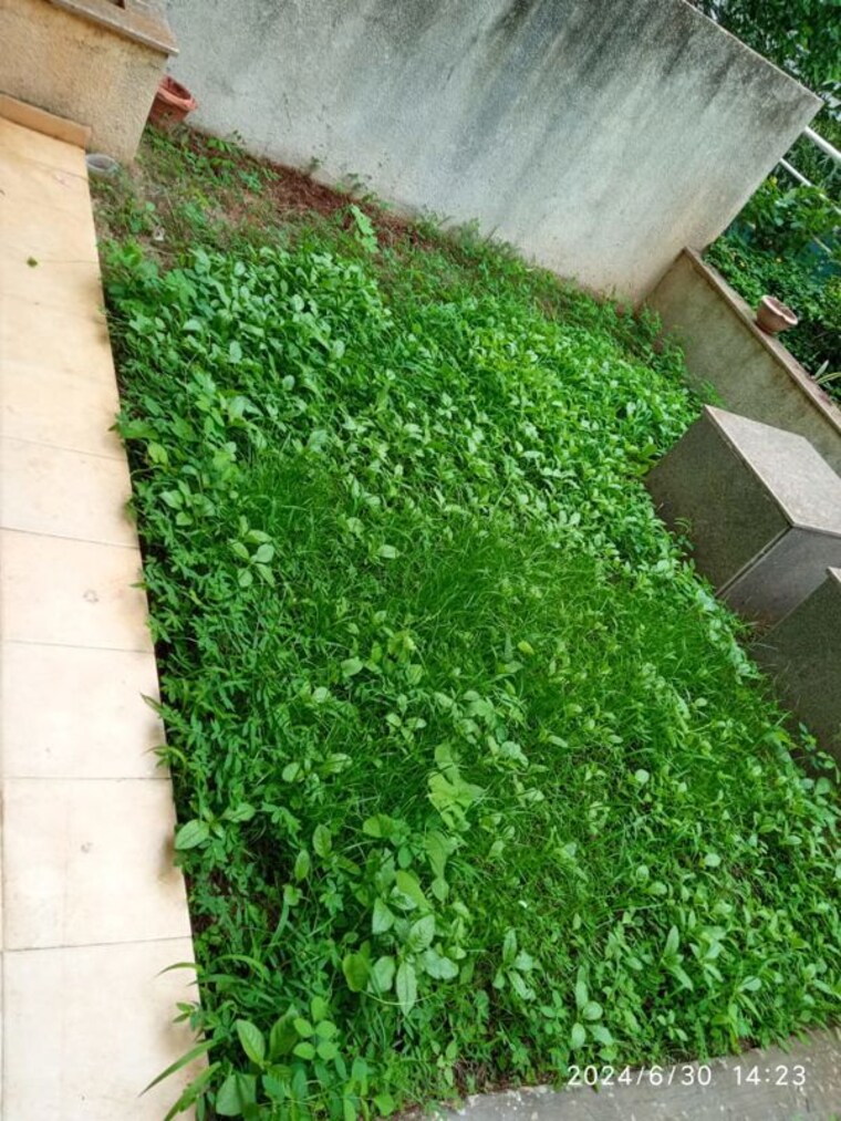 Garden, rohan-leher 3 Bedroom 1600 Sq.Ft. Apartment In Baner Pune 10483485