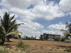  Plot For Rent in Avalapalli