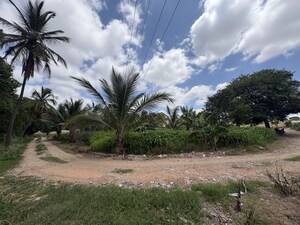 Plot Area in  Plot at Avalapalli – for Rent