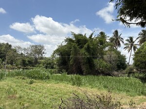 Plot Area in  Plot at Avalapalli – for Rent