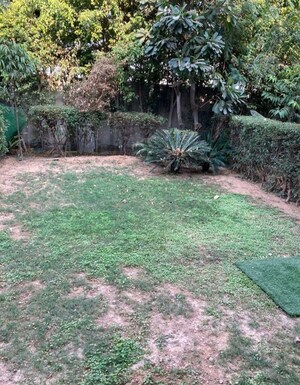 Plot Area in 3 BHK Apartment at Paramount Golf Forest Studio Apartments - OAK Towe, Zeta I Greater Noida – for Rent
