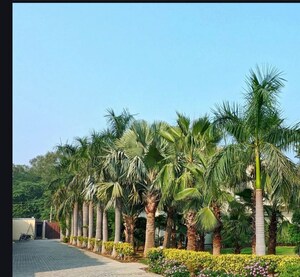 4 BHK Villa – Garden View at Nirvana Country Birch Court, Sector 50 - for Rent