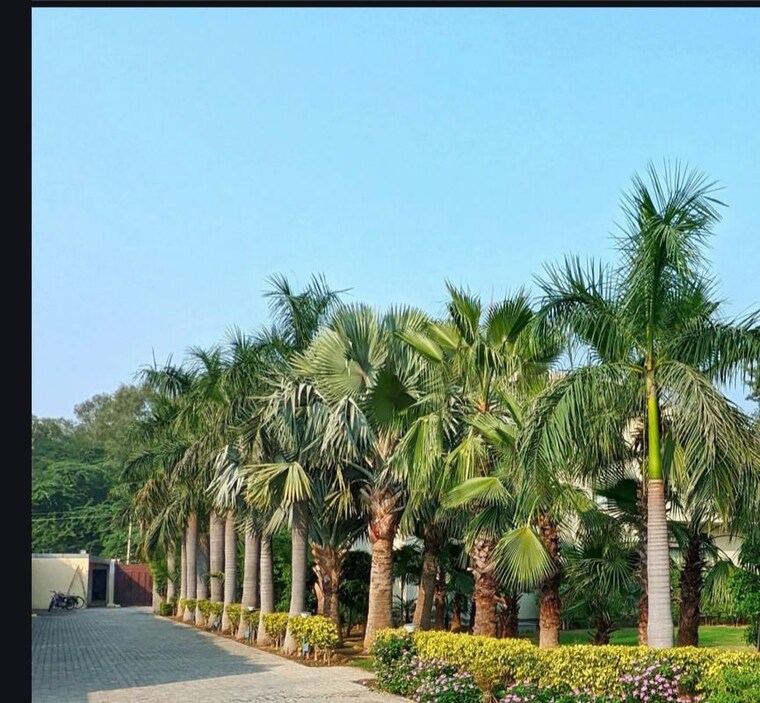 Garden, nirvana-country-birch-court 4 Bedroom 4700 Sq.Ft. Villa In Sector 50 Gurgaon 10484025