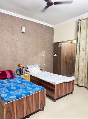  Pg For Rent in Sector 37