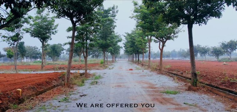 undefined, kolar  1200 Sq.Ft. Plot In Kolar Bangalore 10484415