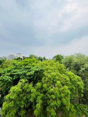 4 BHK Independent House – Garden View at Sector 15 - for Sale