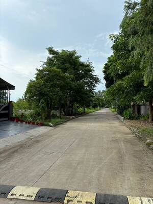  Plot – Exterior View View at Mangaliya Sadak - for Sale