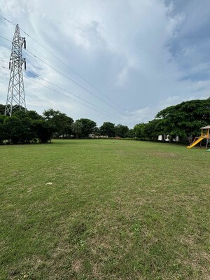  Plot – Garden View at Mangaliya Sadak - for Sale