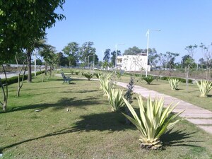  Plot For Sale in Mangaliya Sadak